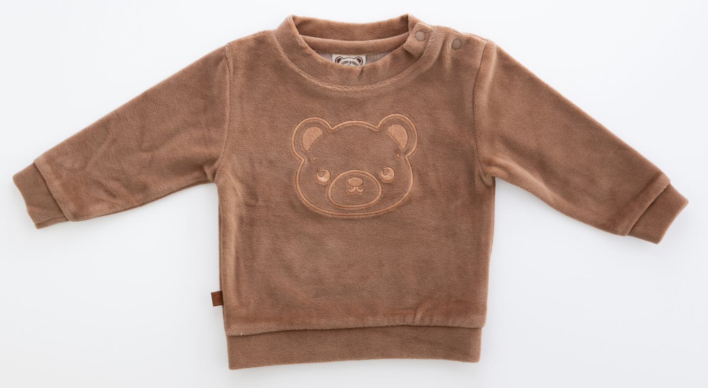 Teddy Dreams Brown bundel